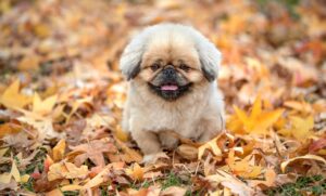 寝汗がひどくて眠れない更年期の対策は？