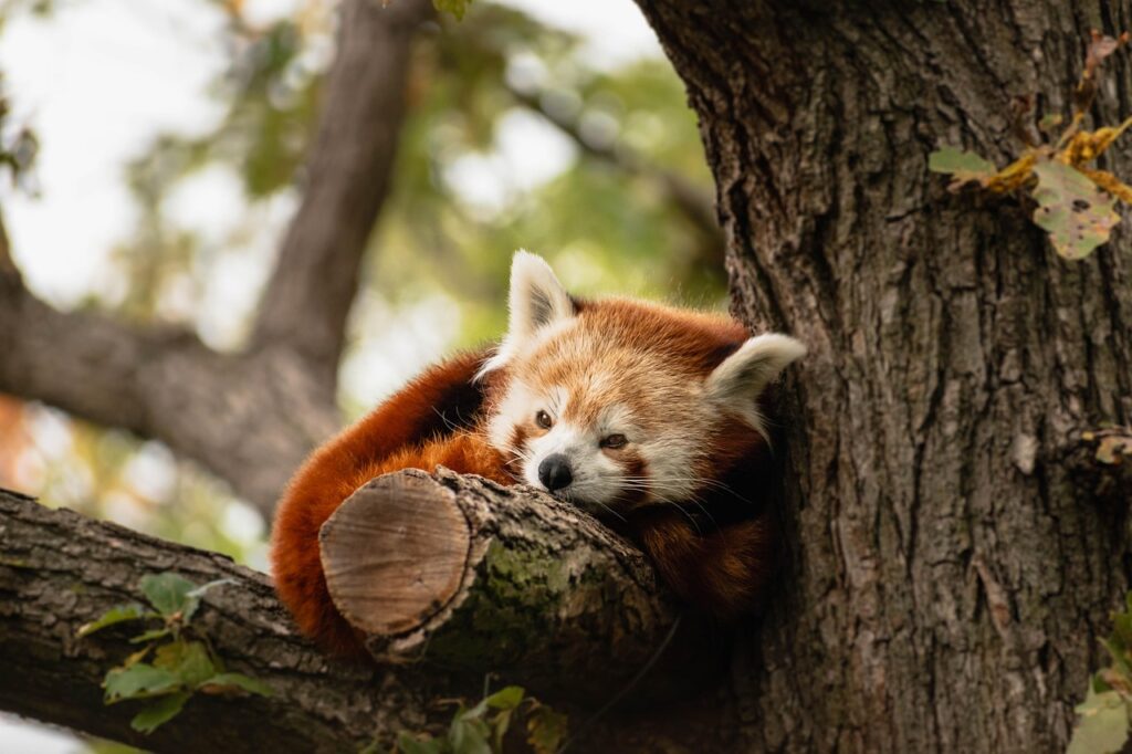 昼間の眠気を解消するための40代向け不眠対策は？