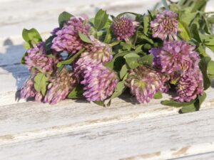 閉経後の不眠に効果的な漢方は何ですか？