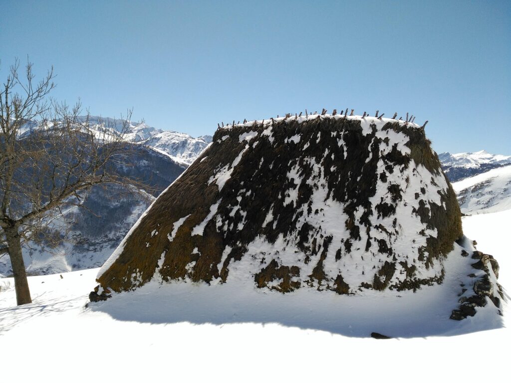 更年期の眠気に効果的な漢方はどれですか？