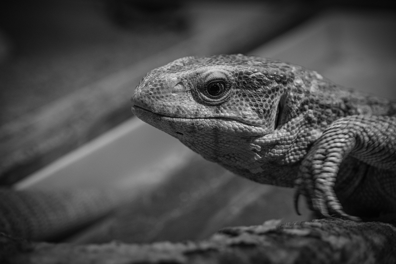 眠りを深くするための漢方のおすすめは？