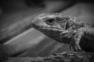 眠りを深くする漢方の効果とは？