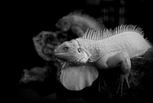 ほてりで目覚める40代のための漢方対策は？