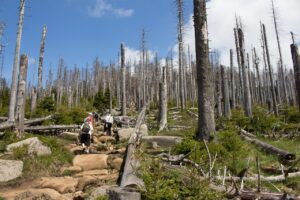 寝起きがつらい40代におすすめの漢方の選び方は？