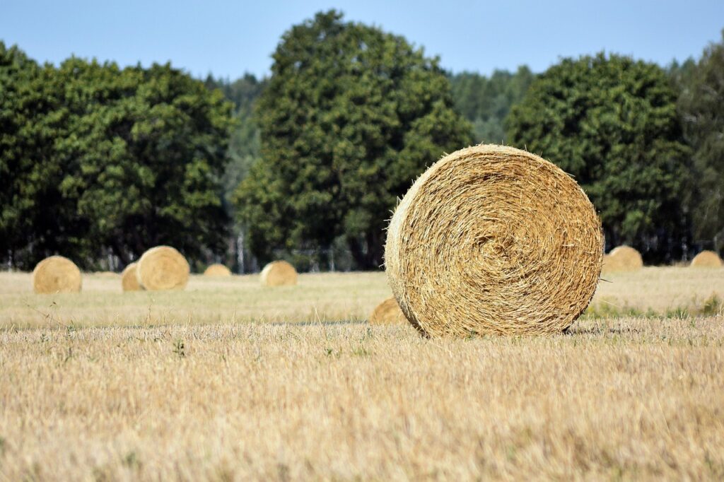 八味地黄丸は夜の不安に合う人の特徴とは？