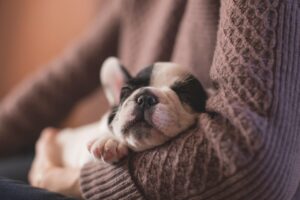 更年期に休日に寝だめできず眠れない時の漢方対策は？