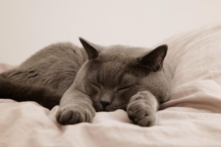 睡眠中の汗について漢方薬局に相談する際の伝え方は？
