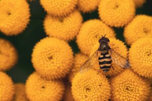 花粉症の薬と漢方を併用する際の注意点は？